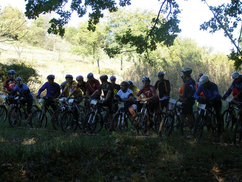 PA100092.jpg