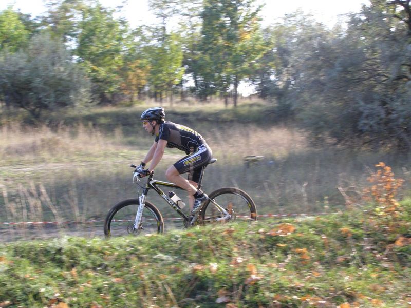 PA100136.jpg