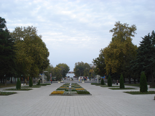 DSC07797.jpg