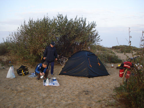 DSC07848.jpg