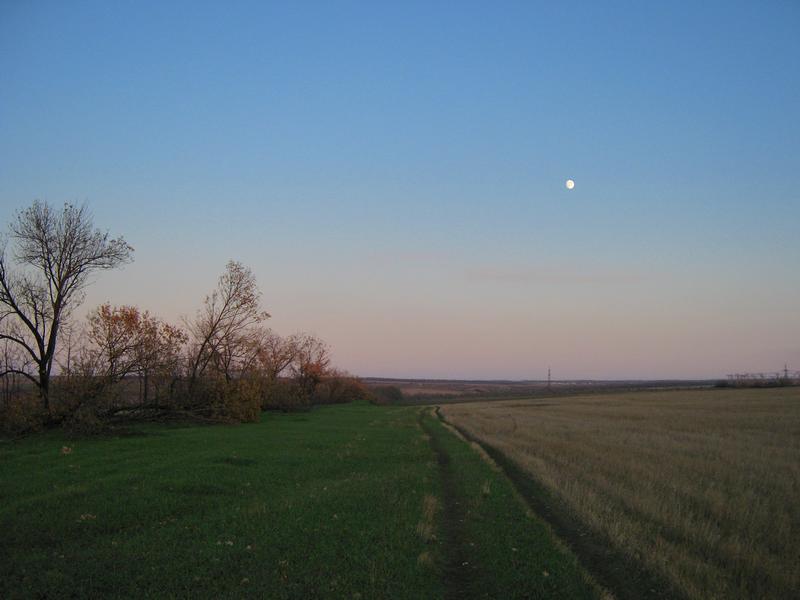 IMG_6250.JPG