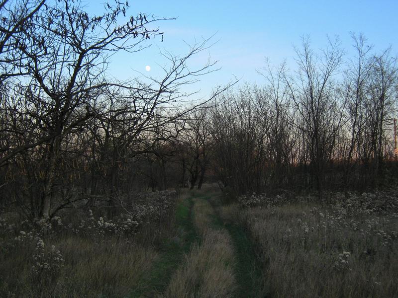 IMG_6246.JPG