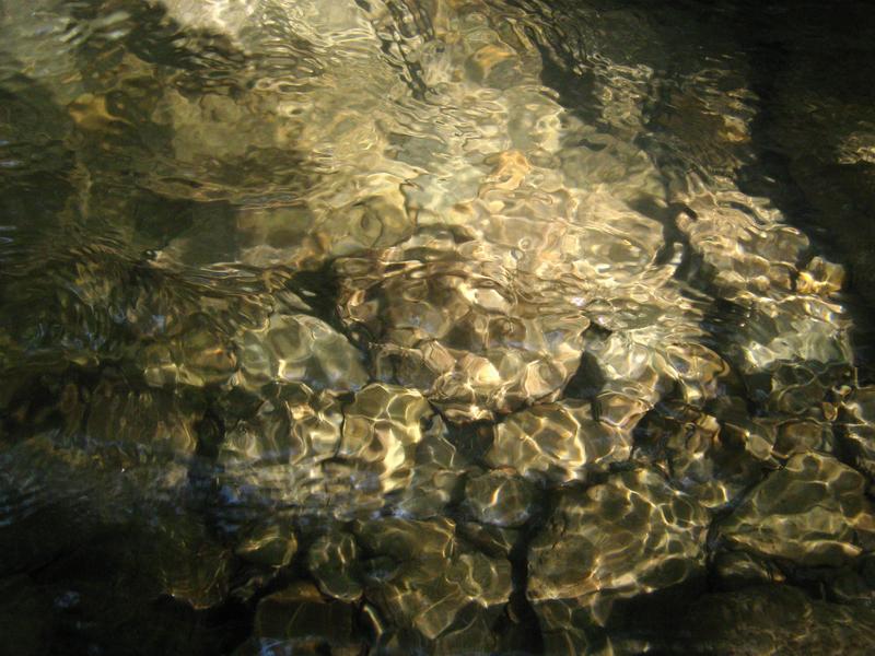 IMG_5023.JPG