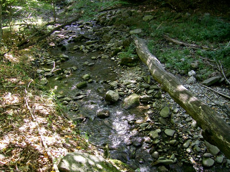 _IC_0168.JPG