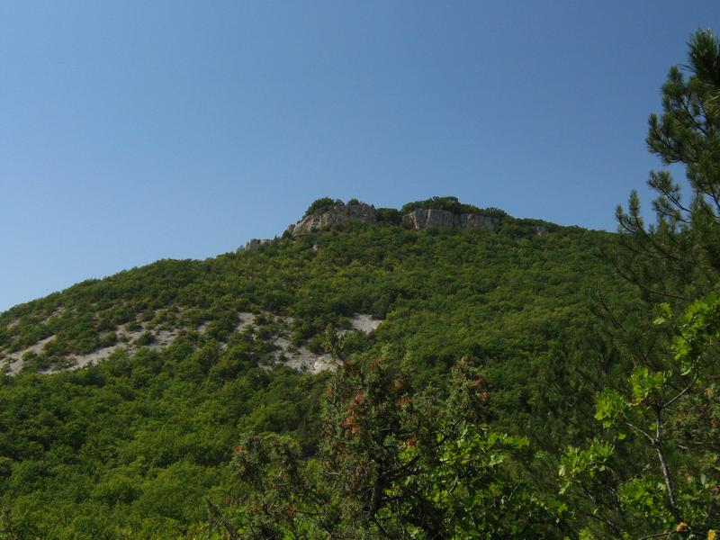 IMG_5137.JPG
