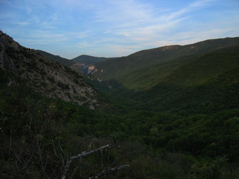 IMG_5428.JPG
