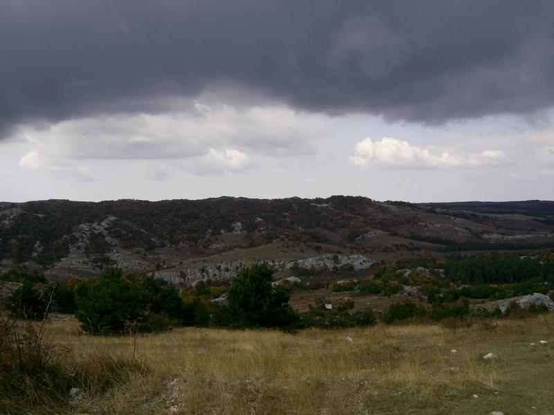 _IC_0381.JPG