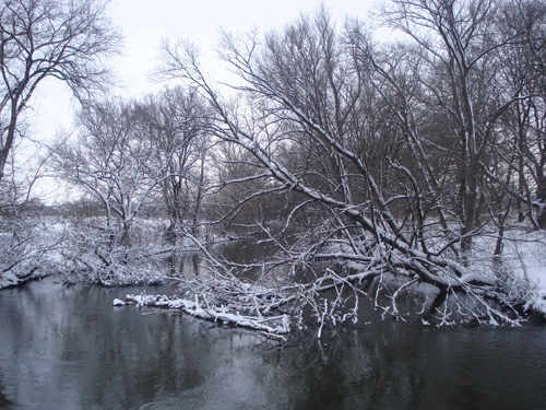 DSC09015.jpg