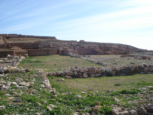 DSC09119.jpg