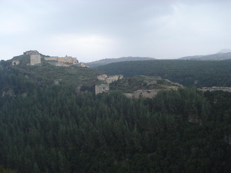 DSC09251.jpg