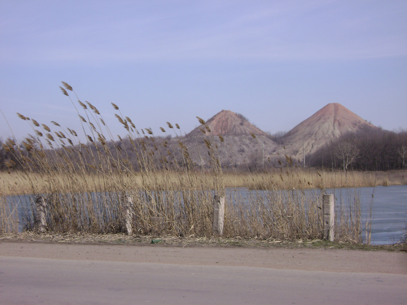 DSC01380.jpg