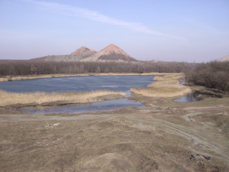DSC01397.jpg