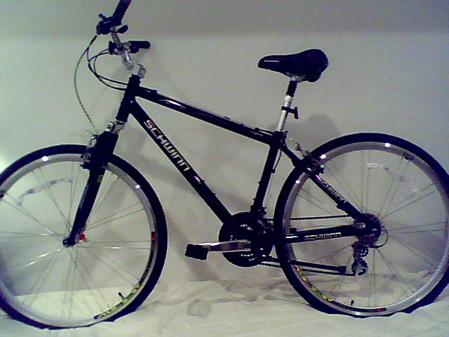 Snapshot_20100406.jpg