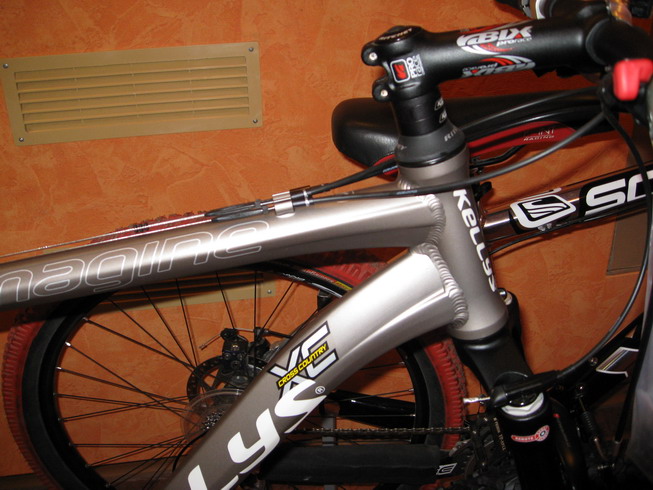 IMG_0564_resize.JPG