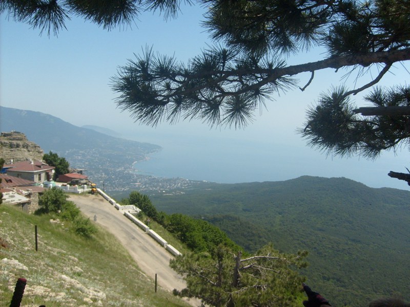 S6304140.JPG