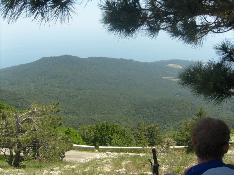 S6304152.JPG