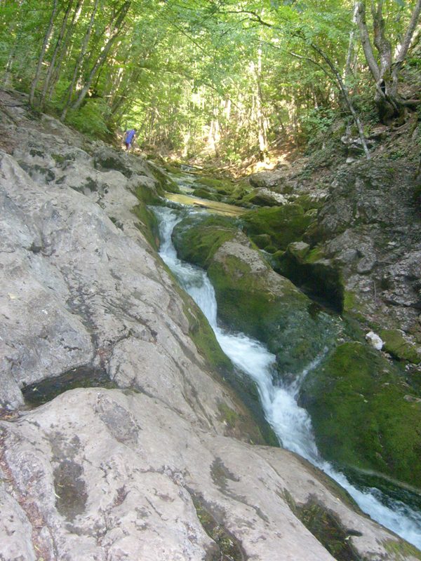 S6304162.JPG