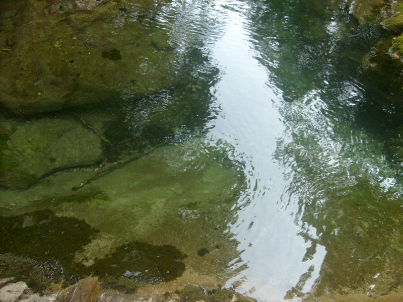 S6304163.JPG