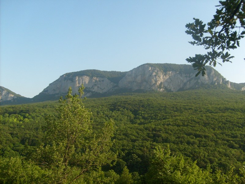 S6304167.JPG