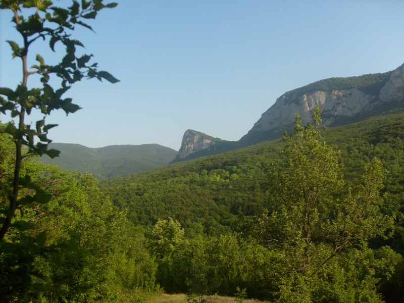 S6304168.JPG
