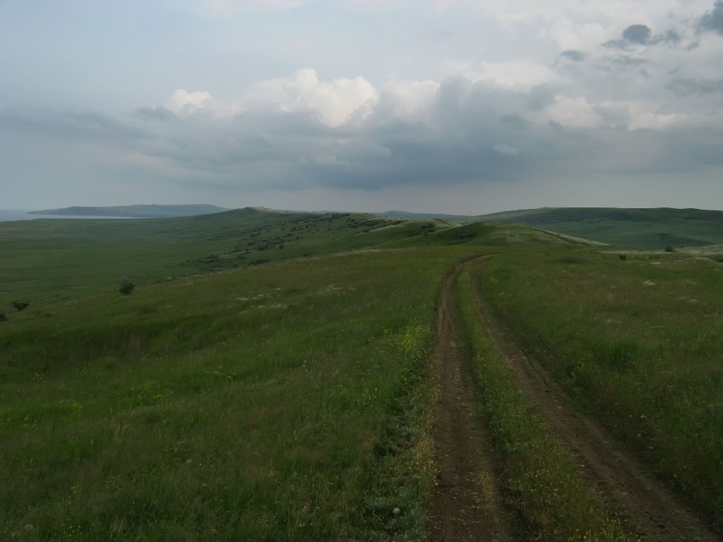 IMG_7395.JPG