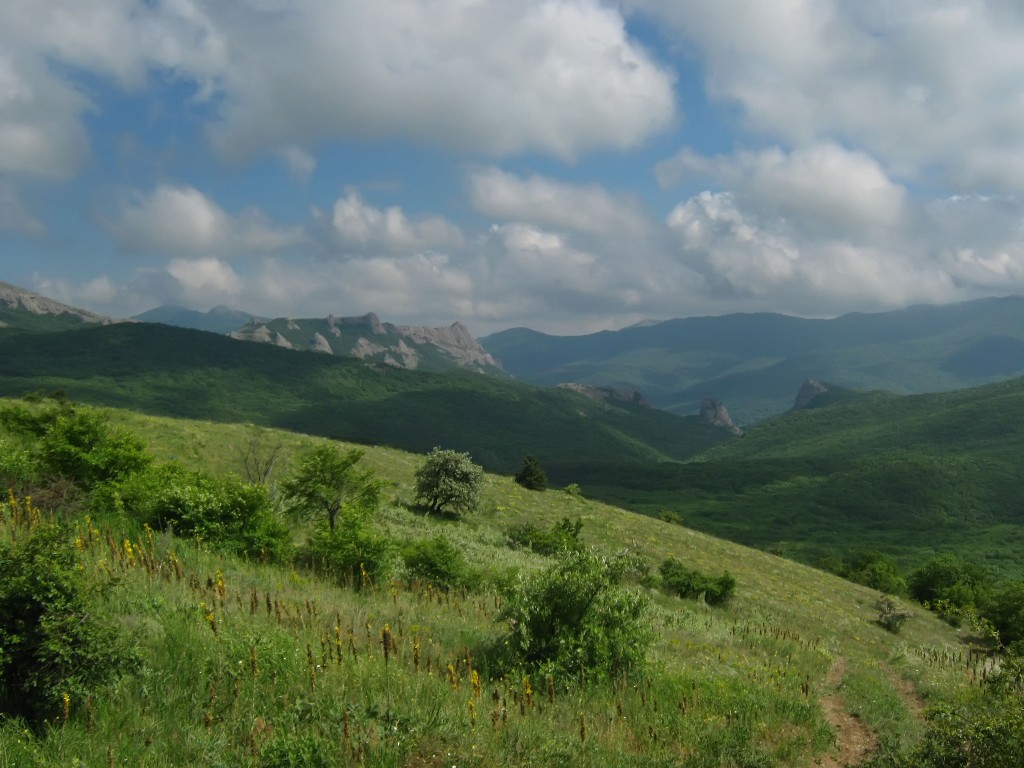 IMG_7798.JPG