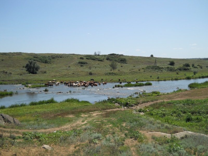 DSCN4035800x600.JPG