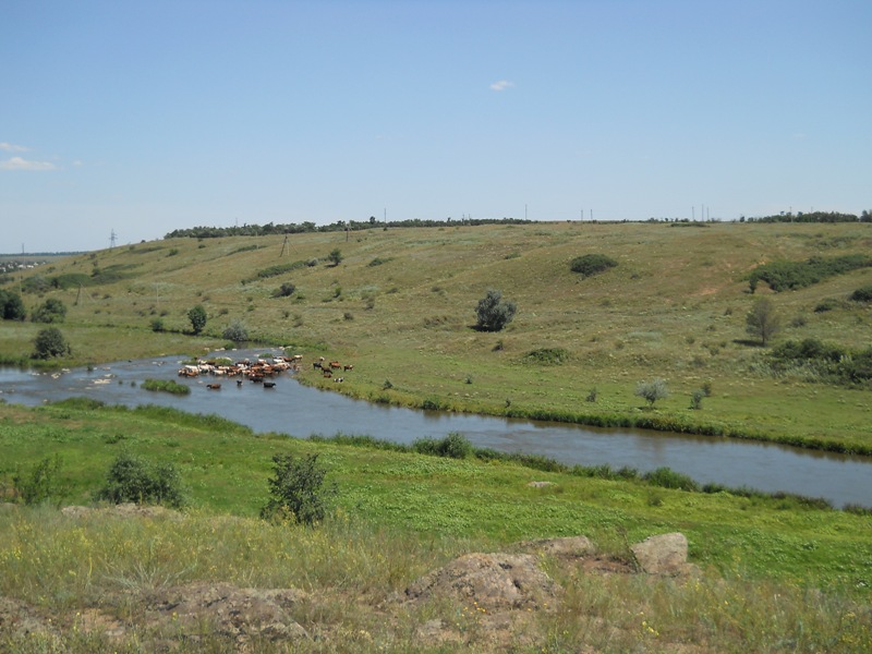 DSCN4040800x600.JPG