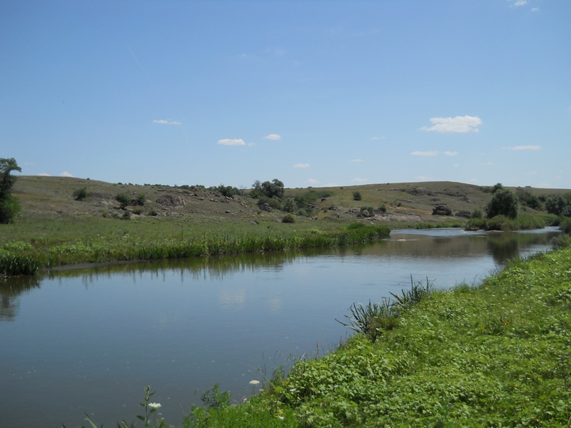 DSCN4073800x600.JPG