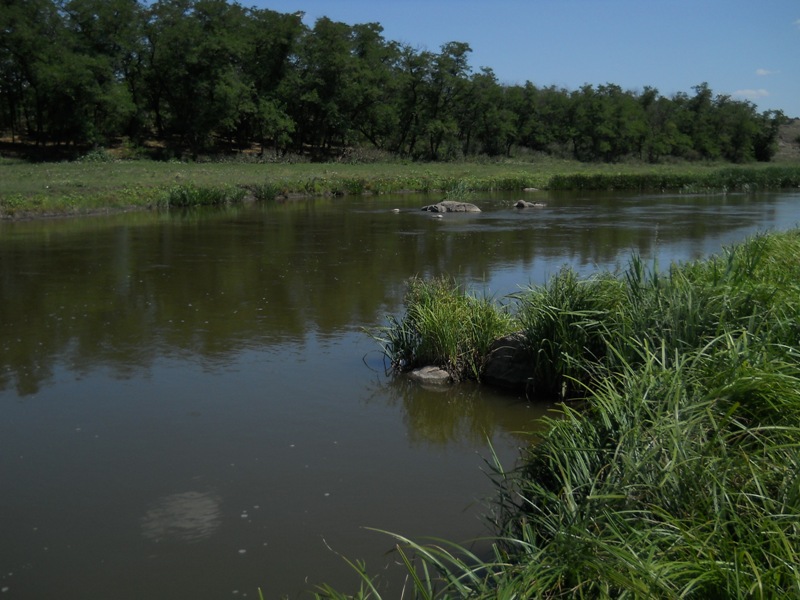 DSCN4083800x600.JPG