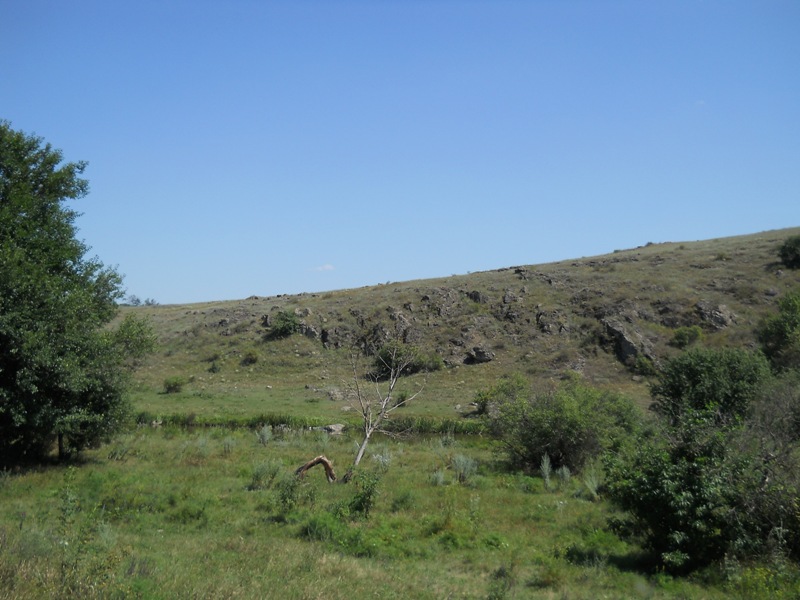 DSCN4090800x600.JPG