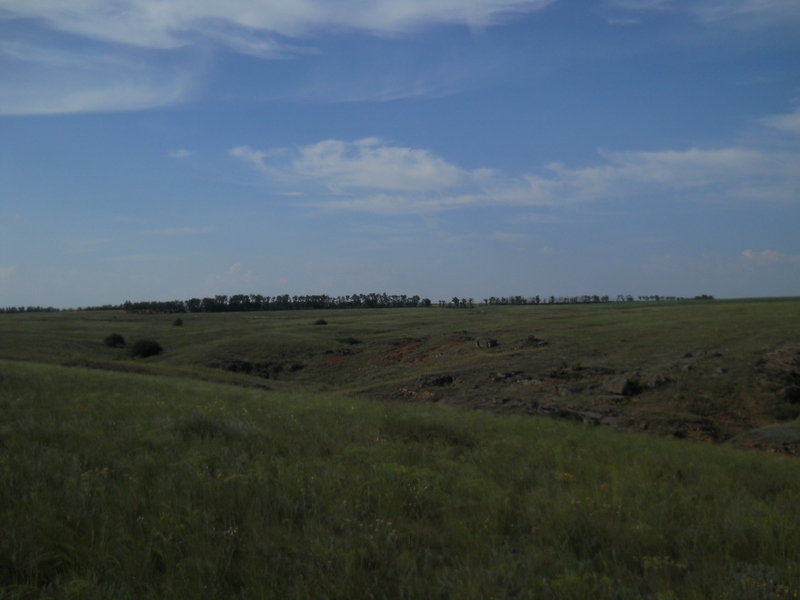 DSCN4109800x600.JPG