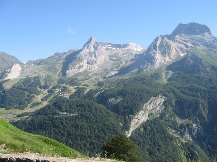 IMG_7171.jpg