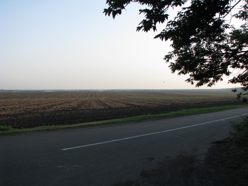 IMG_9366_1.jpg