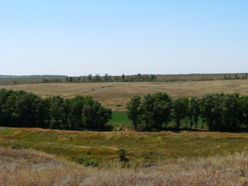 IMG_9434_1.jpg
