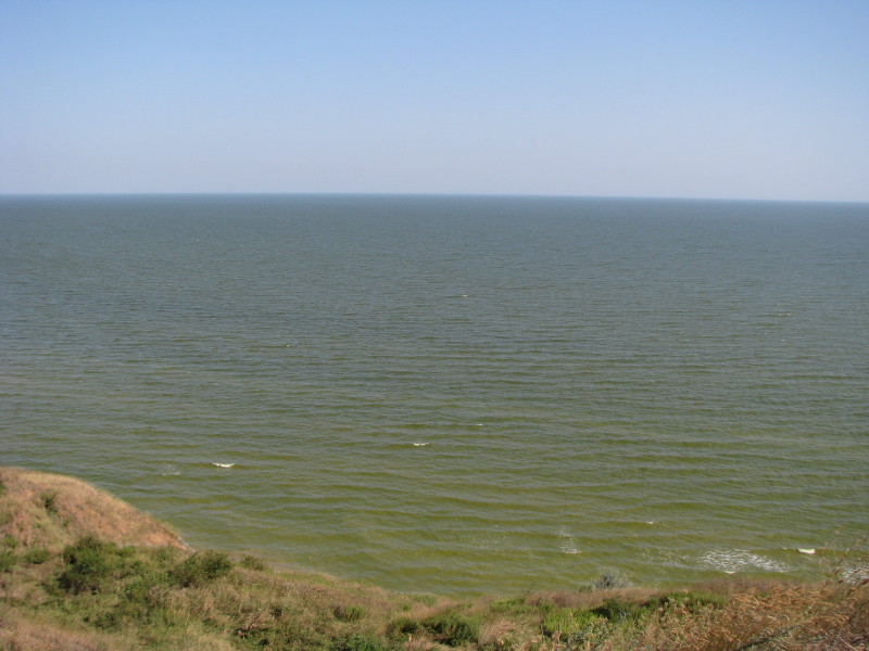 IMG_9444_1.jpg