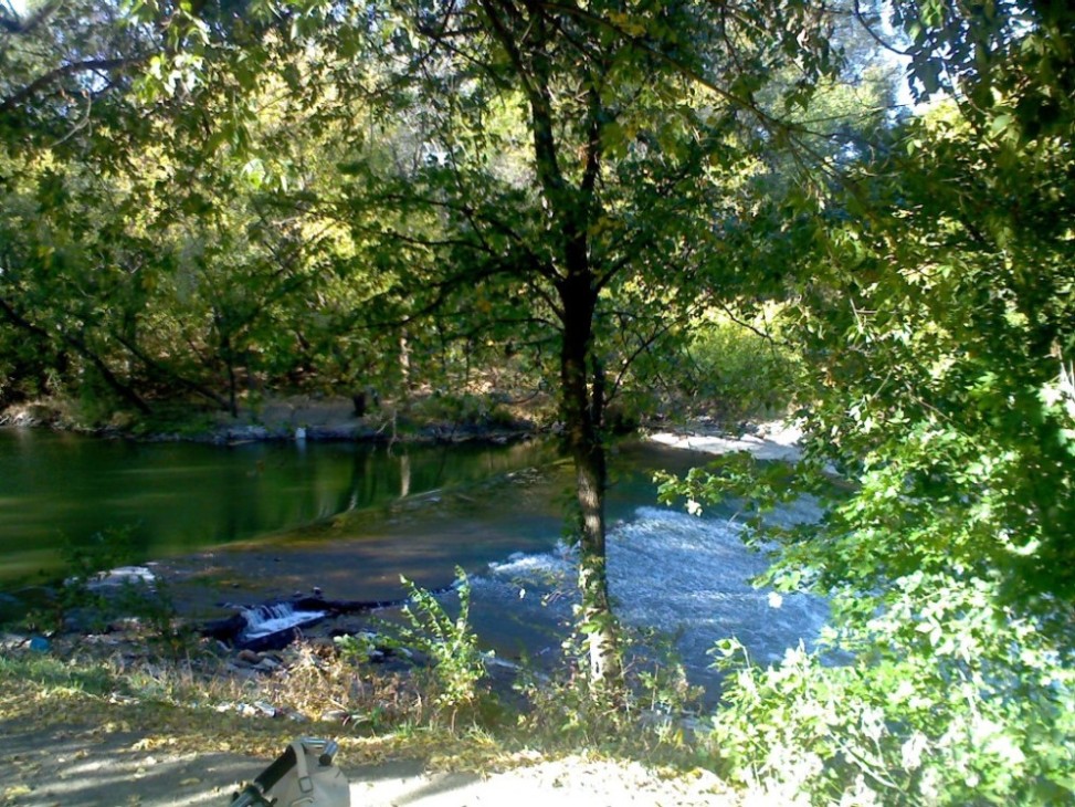IMG005.jpg