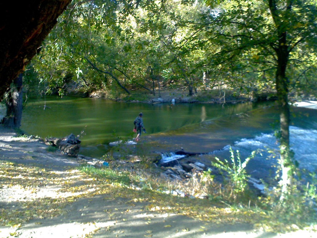 IMG007.jpg