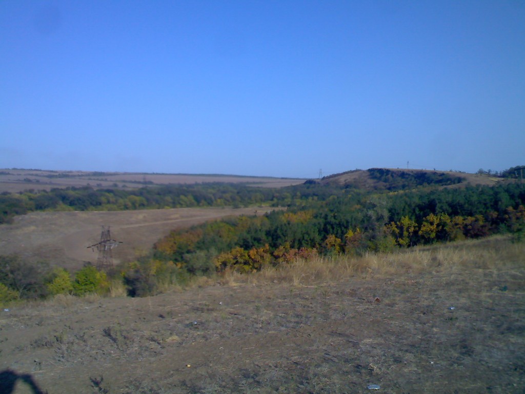IMG010.jpg