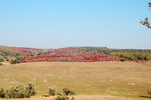 DSC_1180.JPG
