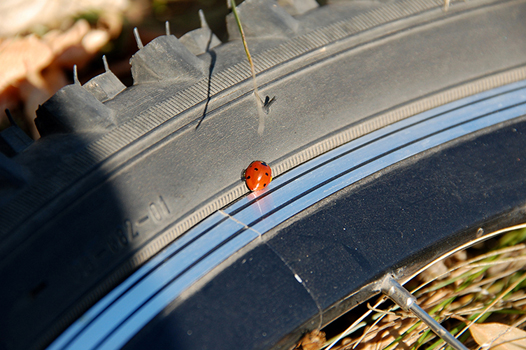 DSC_1213.JPG