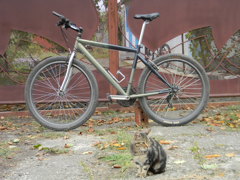 DSCN3487.jpg