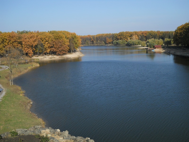 DSCN6838net.JPG