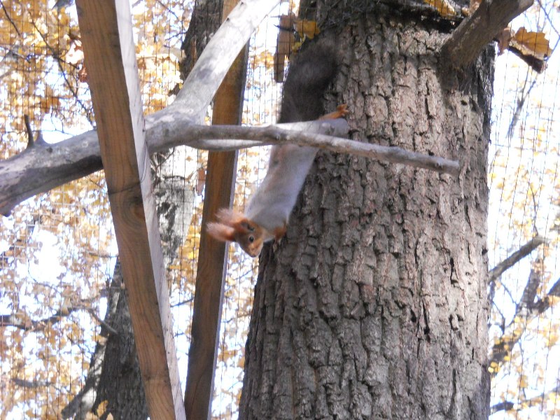 DSCN6858net.JPG
