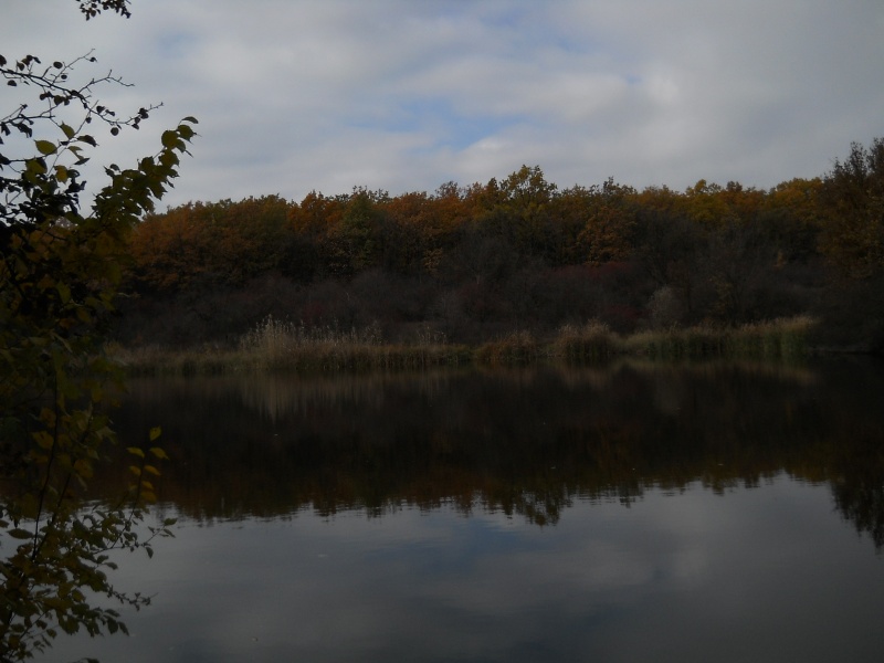 DSCN6880net.JPG