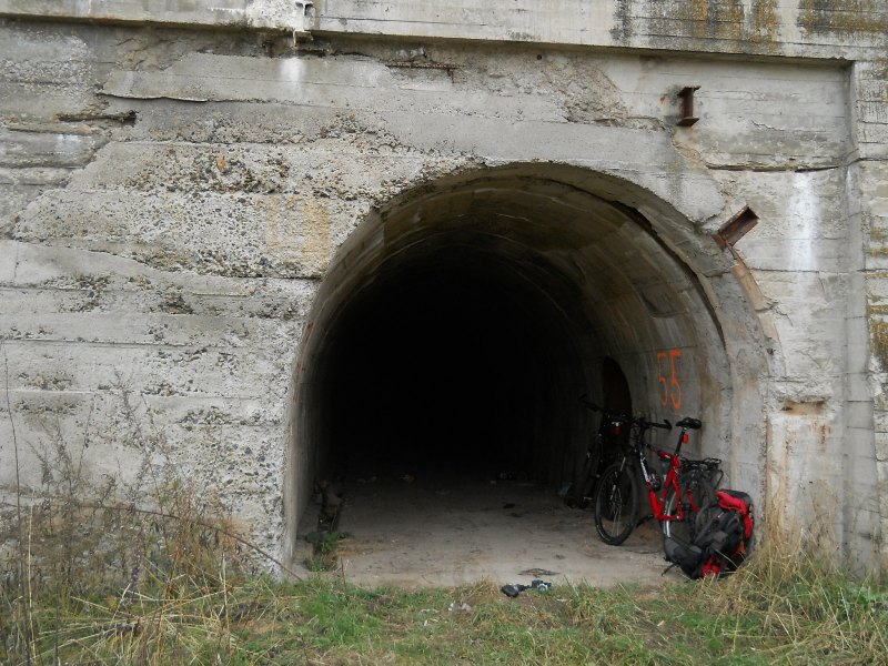 netDSCN6935.JPG