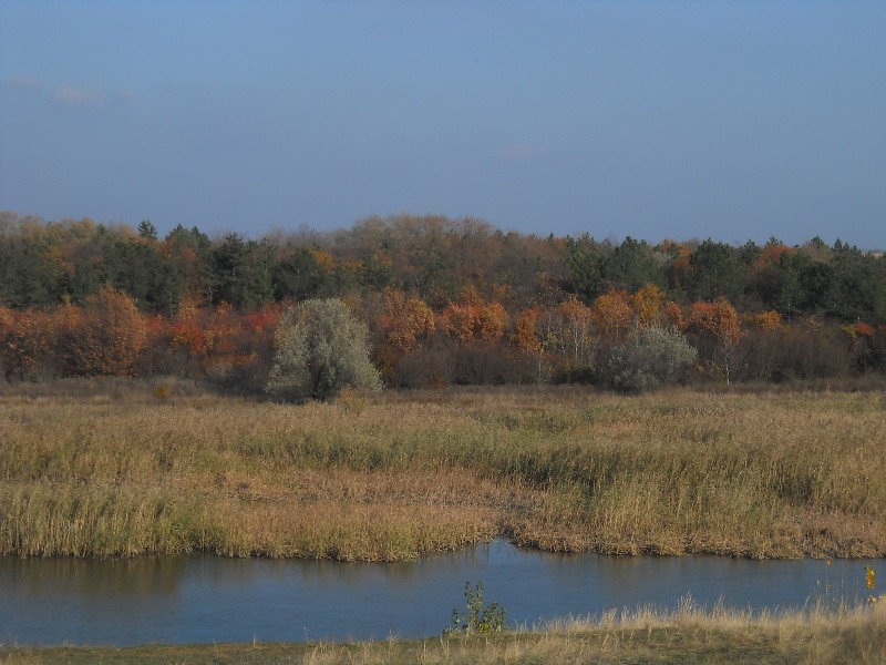 netDSCN6953.JPG