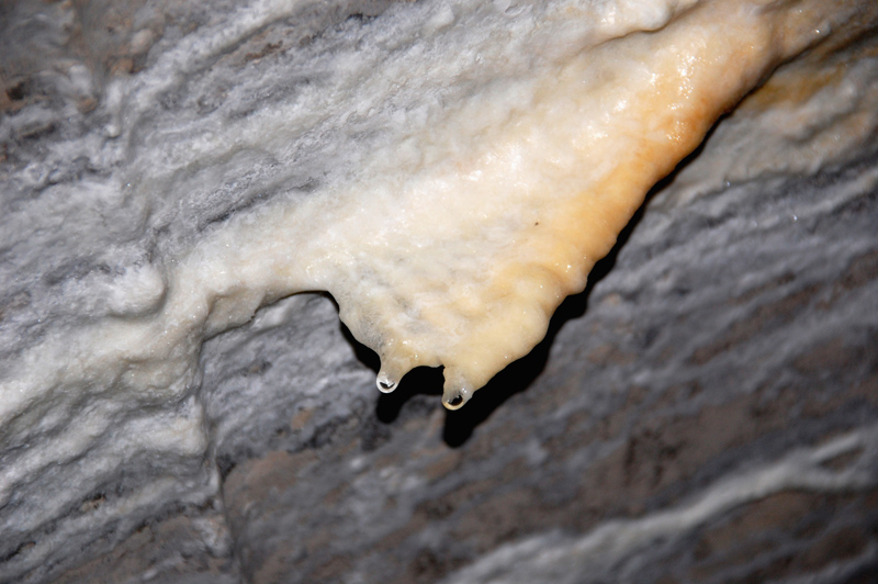 DSC_1337.JPG