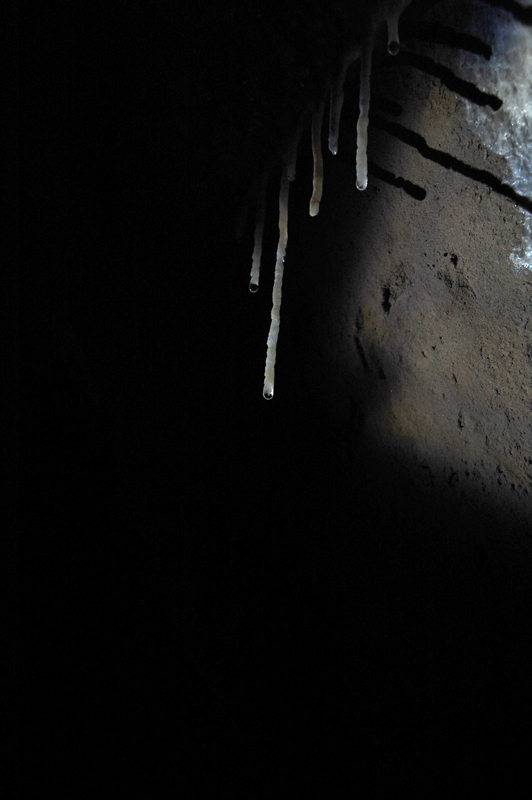 DSC_1343.JPG