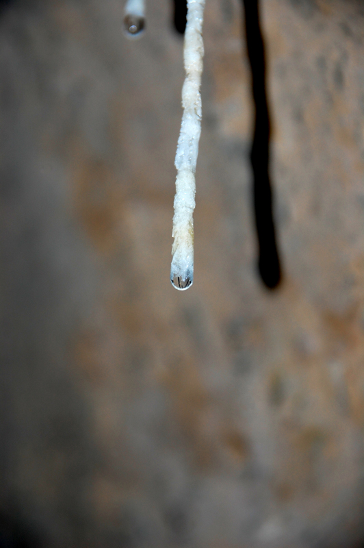 DSC_1347.JPG